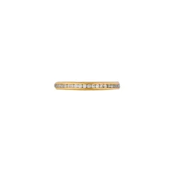 Infinite Ring