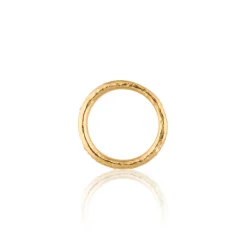 Infinite Ring