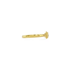 Mini Tullia Ring