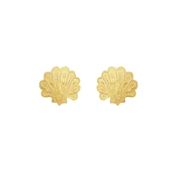 Scallop Stud Earrings