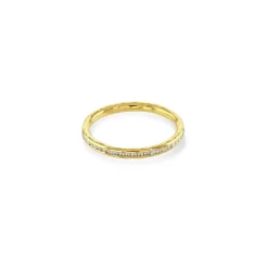 Skinny Infinite Ring