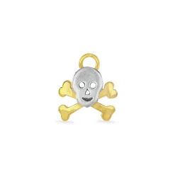 Skull & Crossbones Charm