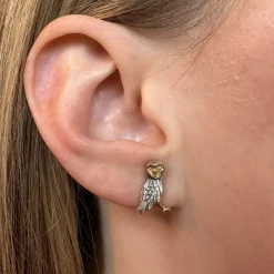 Spirit Owl Stud Earrings
