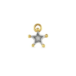 Star Charm